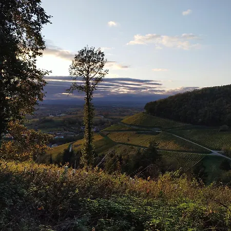 Lägenhet Am Sulzbach Sulzburg