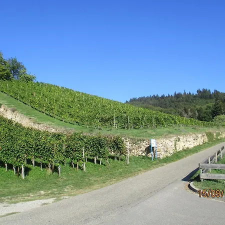 Lägenhet Am Sulzbach Sulzburg