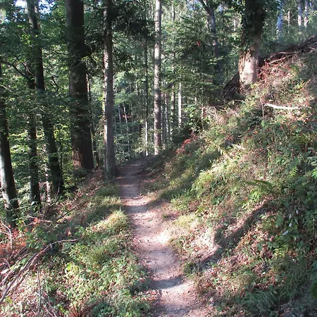 Am Sulzbach *
