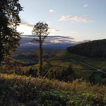 Am Sulzbach 술츠부르크
