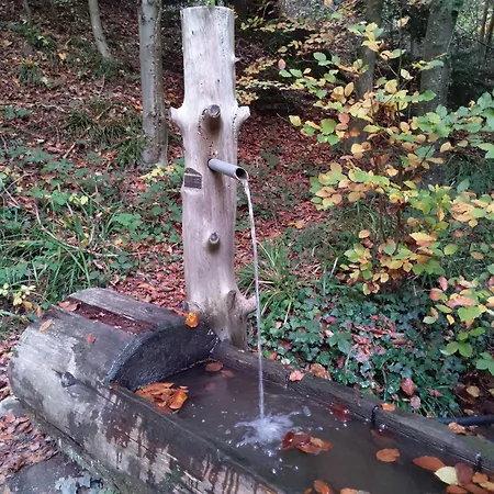아파트 Am Sulzbach *