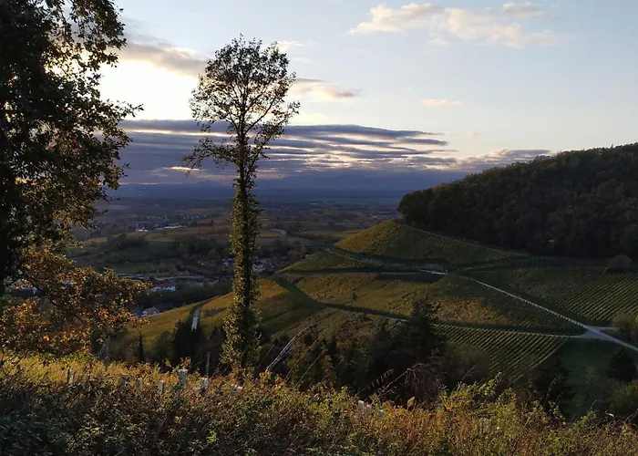 Appartamento Am Sulzbach Sulzburg