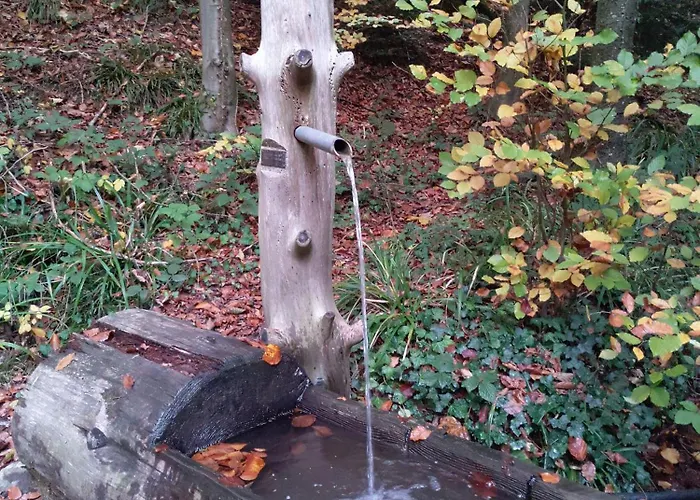 Appartamento Am Sulzbach Sulzburg