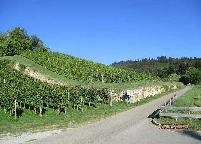 Appartamento Am Sulzbach Sulzburg